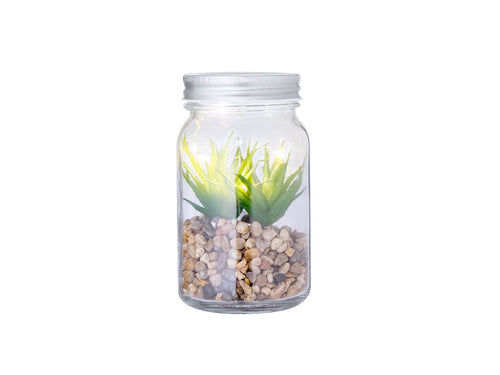 Dekorative Pflanze auf einem Sockel aus Steinen, in einem Glasgefäß aus Borosilikatglas - Kyala Personalisiert