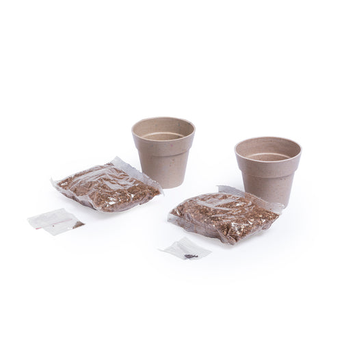 Set aus 2 Töpfen mit Pfefferminzsamen und Petersilie im Nature-Line-Topf - Nertel Personalisiert