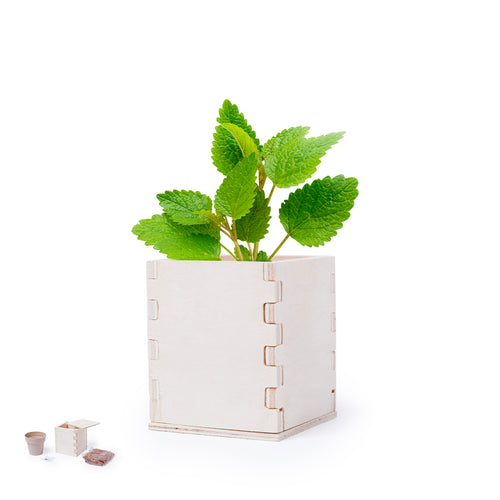 Pfefferminze mit Nature-Line-Topf - Merin Personalisiert